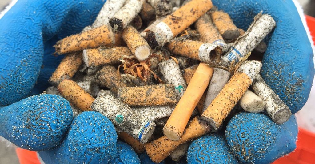 The Hidden Dangers of Cigarette Butts: What You Don't Know