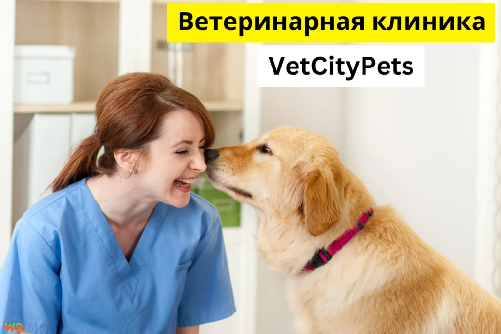 ветеринарная клиника VetCityPets